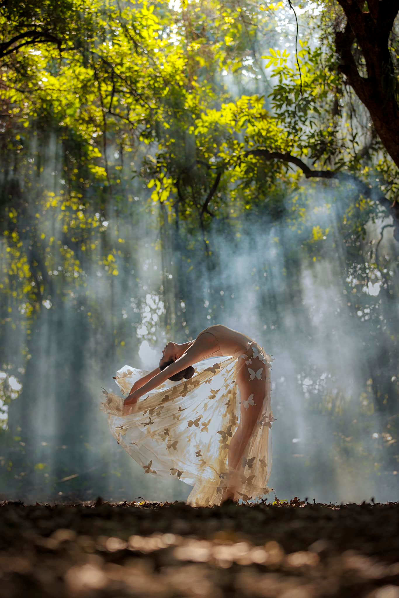 321094377 555759162809378 1640932092654769624 n