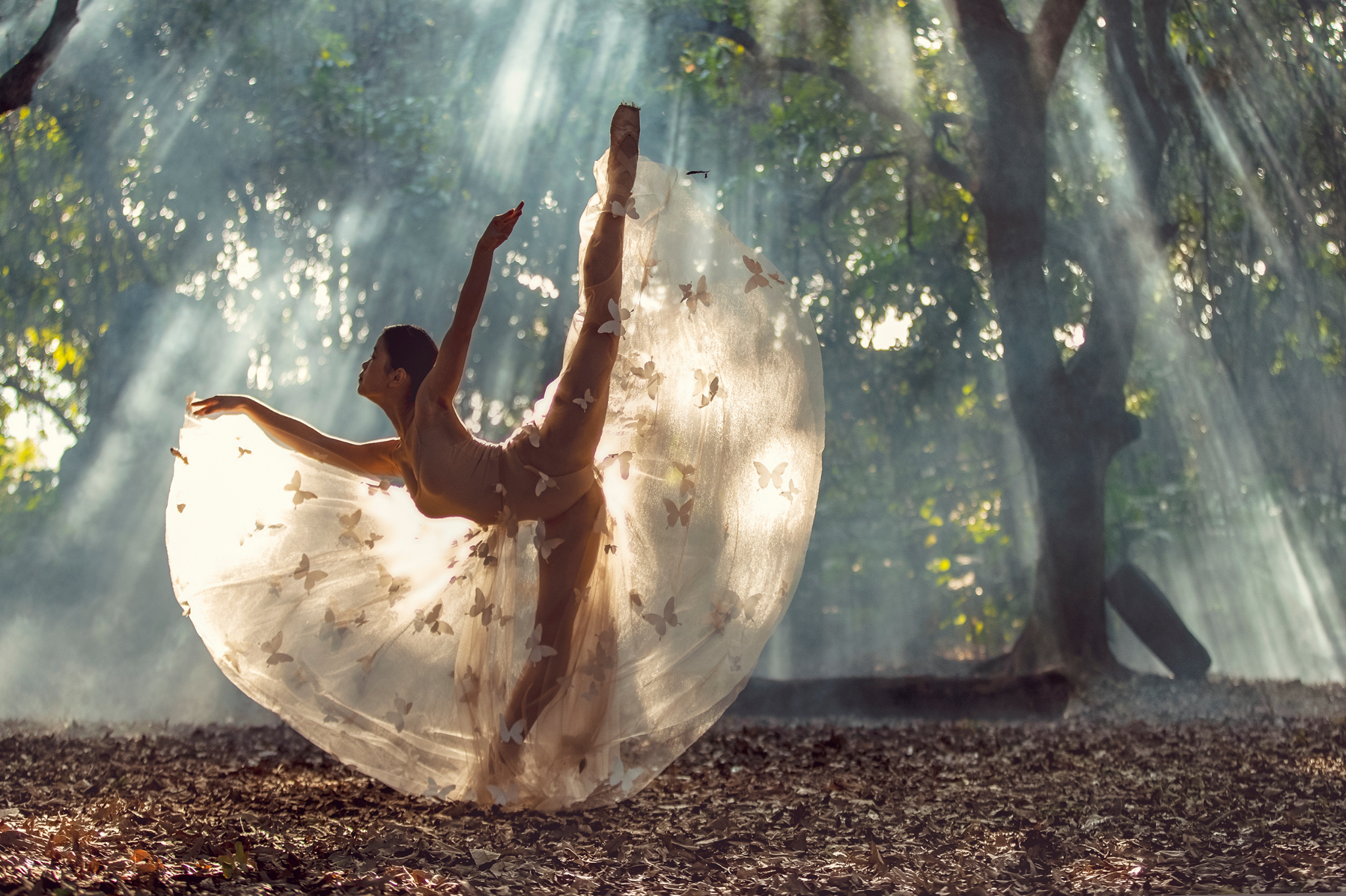 Recovered cr2 file(422) s