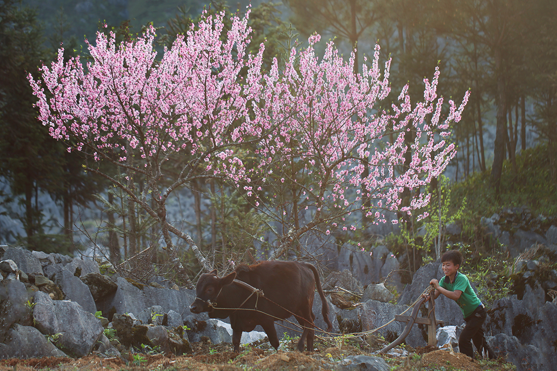 16070061804 99b0deec76 o