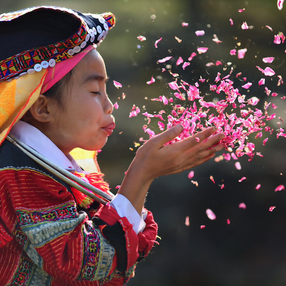 16830576852 1b7ea28ceb o