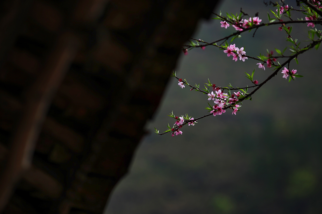 23721071273 46dedeb6af o