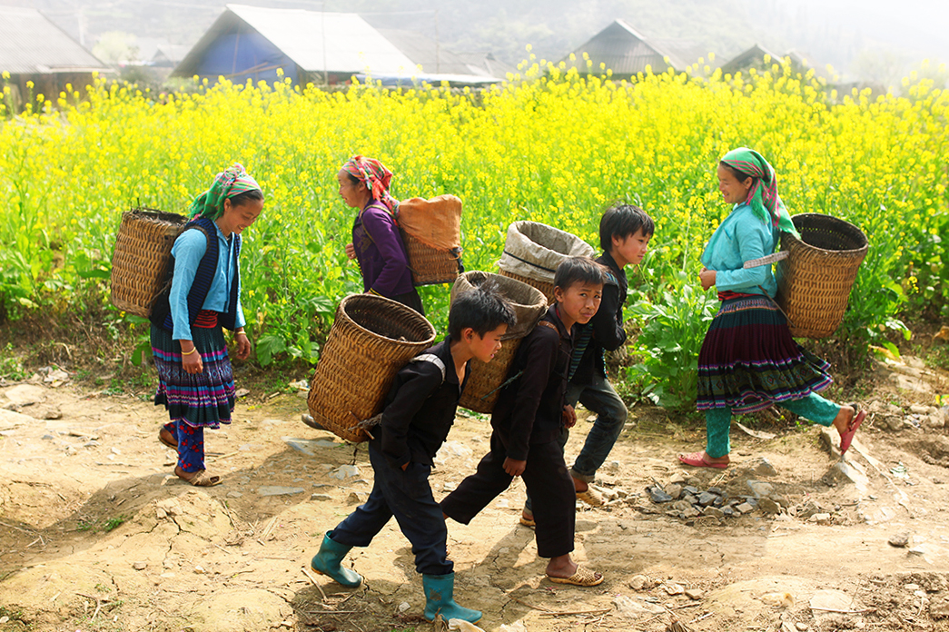 24563744842 4f9b366a7e o