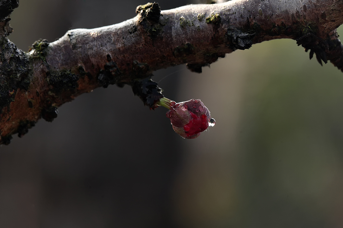 16548360415 3c88b0e34a o