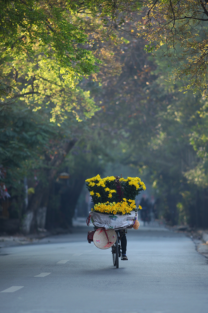 26117866336 28fe84fe98 o