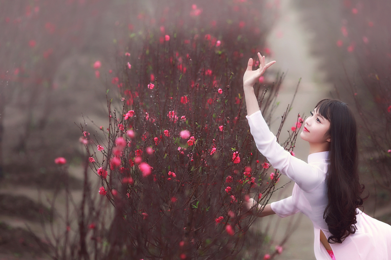 27960131939 c8d4c4ebdc o