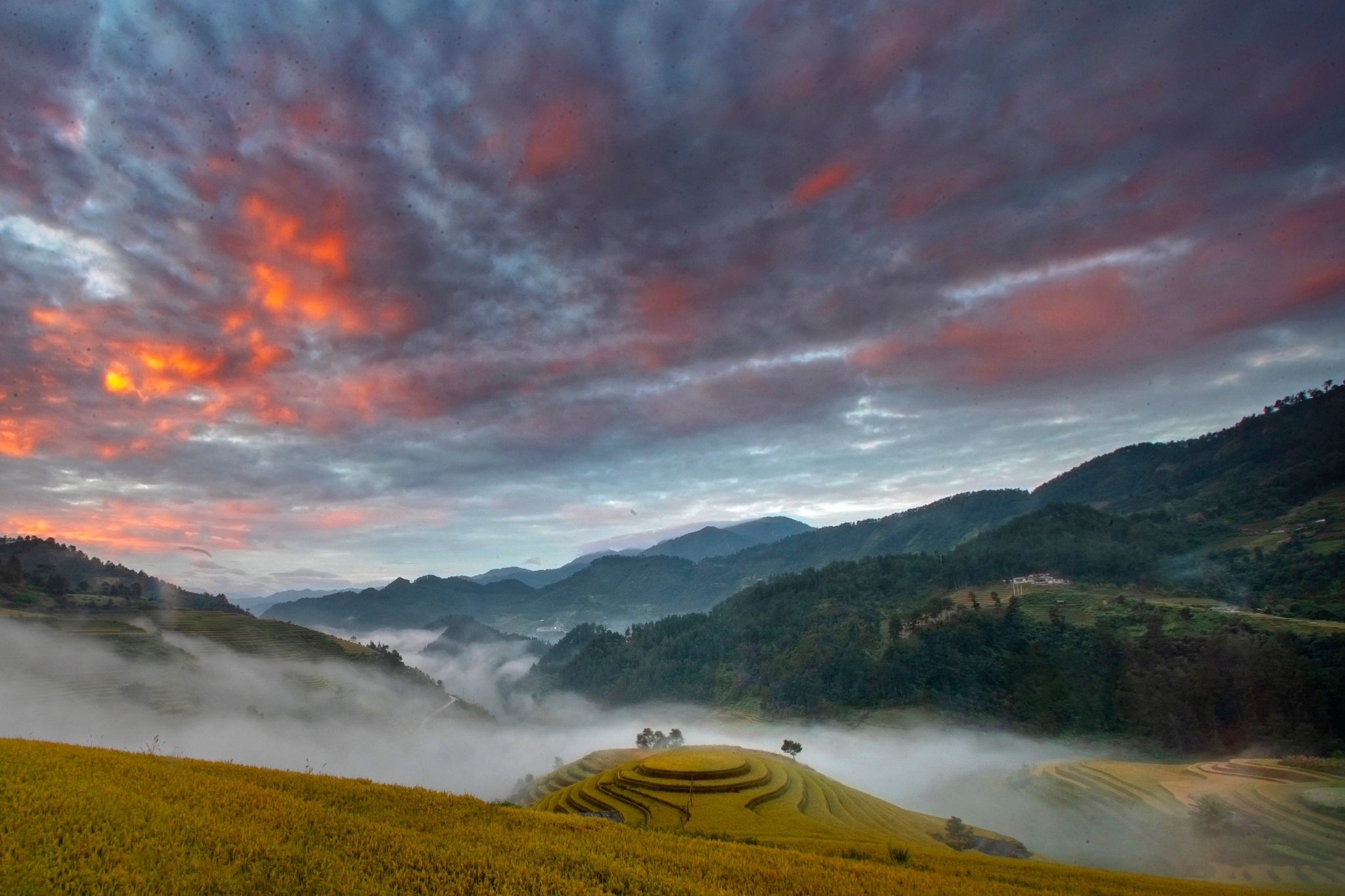 Z4746700478594 256fd9298a2f012566c01af0b6e2b64b