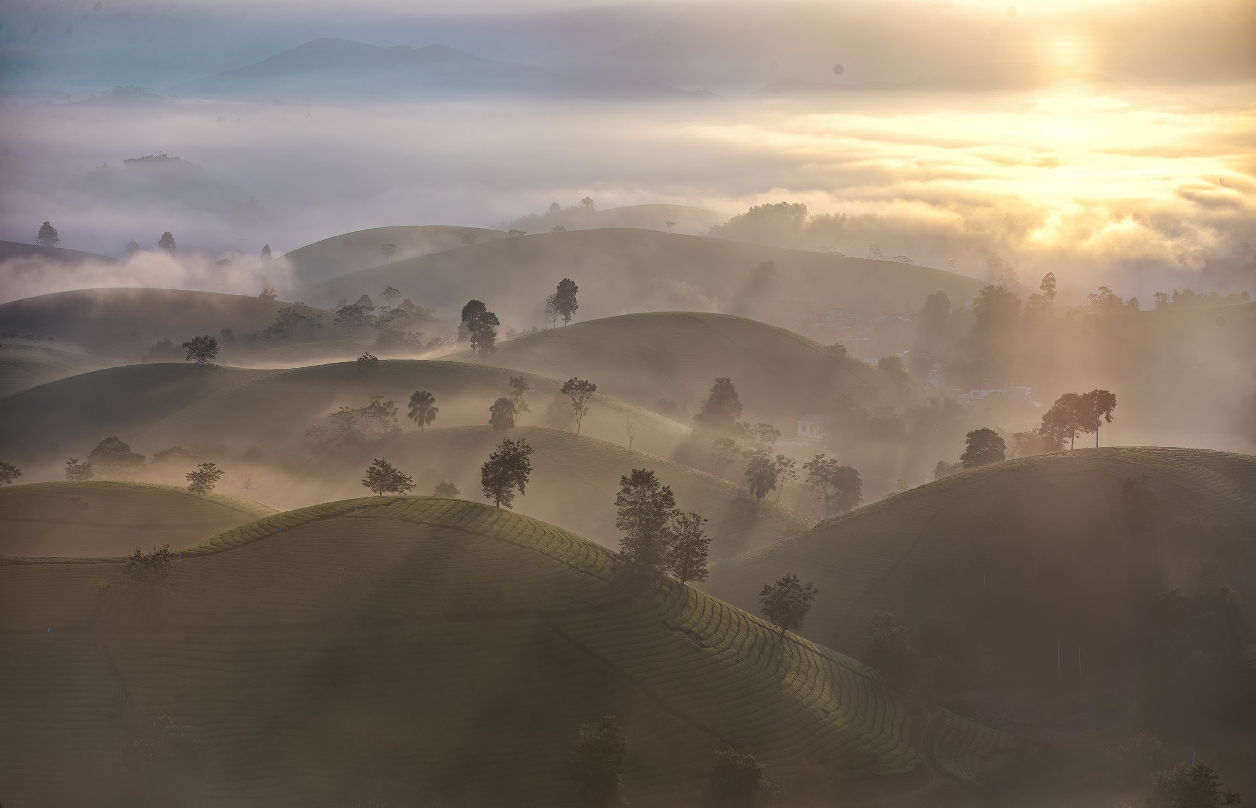 Z4911149943791 41374e588d0020b86a103c0a810ce262